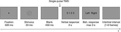 Transcranial Magnetic Stimulation-Induced Motor Cortex Activity Influences Visual Awareness Judgments